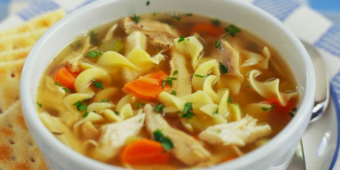 Homemade-Chicken-Noodle-Soup_18523